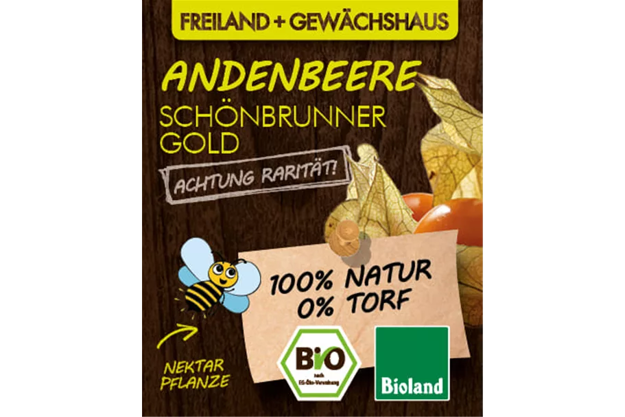 Bio Andenbeere 'Schönbrunner Gold' 12 cm Topf