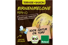 Bio Birnenmelone Pepino 12 cm Topf