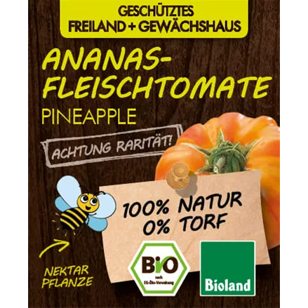 Bio -Tomate 'Pineapple'