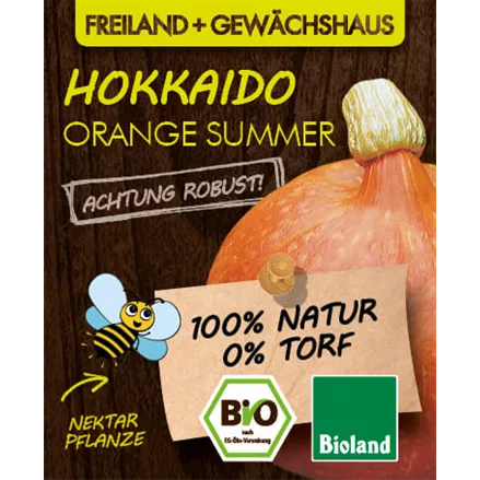 Bio Kürbis 'Orange Summer'