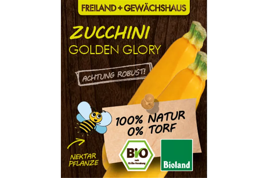 Bio Zucchini 'Golden Glory' 12 cm Topf