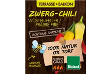 Bio Chili 'Wüstenfeuer - Prairie Fire' 13 cm Topf