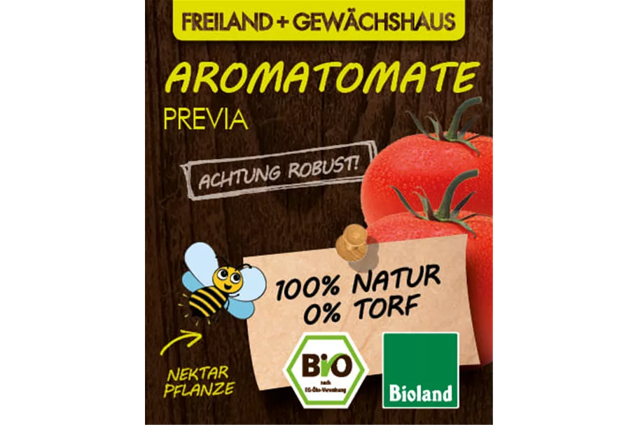 Bio Tomate 'Previa' 12 cm Topf