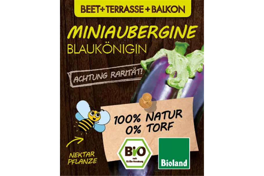 Bio Aubergine 'Blaukönigin' 13 cm Topf
