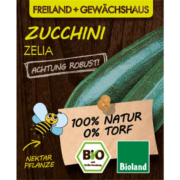 Bio Zucchini 'Zelia'