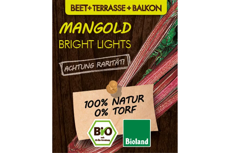 Bio Mangold 'Bright Lights' 12 cm Topf