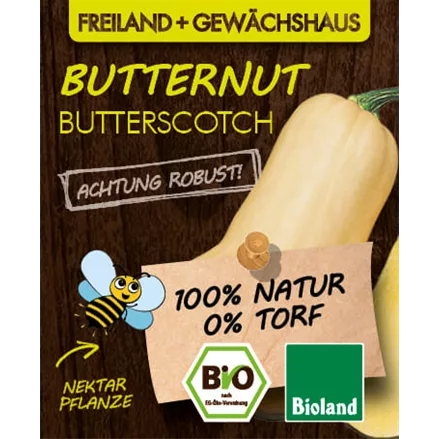 Bio Kürbis 'Butterscotch'