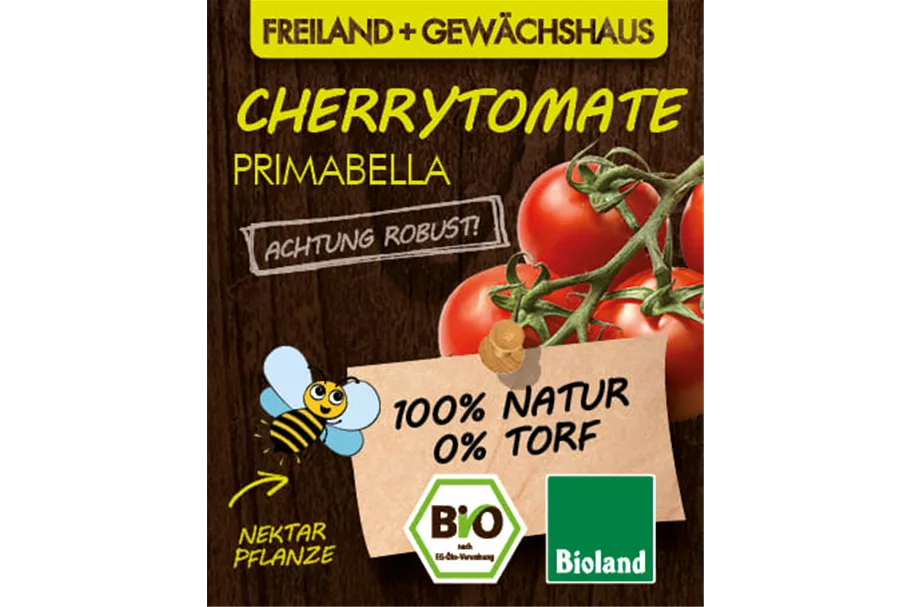 Bio Cherrytomate Primabella 12 cm Topf