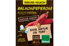 Bio Peperoni 'Poot Pepper' 12 cm Topf
