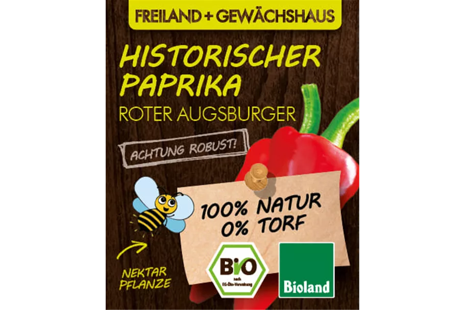 Bio Historischer Paprika 'Roter Augsburger' 12 cm Topf