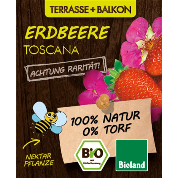 Bio Erdbeere 'Toscana'