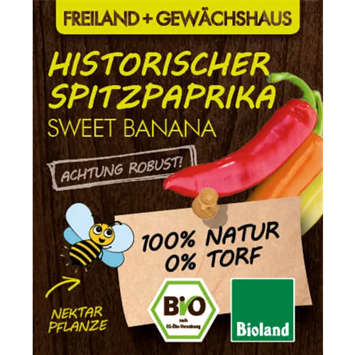 Bio Historischer Spitzpaprika 'Sweet Banana' 