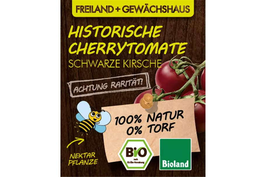 Bio Tomate 'Schwarze Kirsche' 12 cm Topf