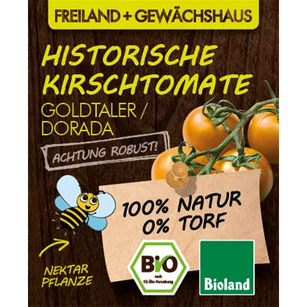 Bio -Tomate 'Goldtaler / Dorada'