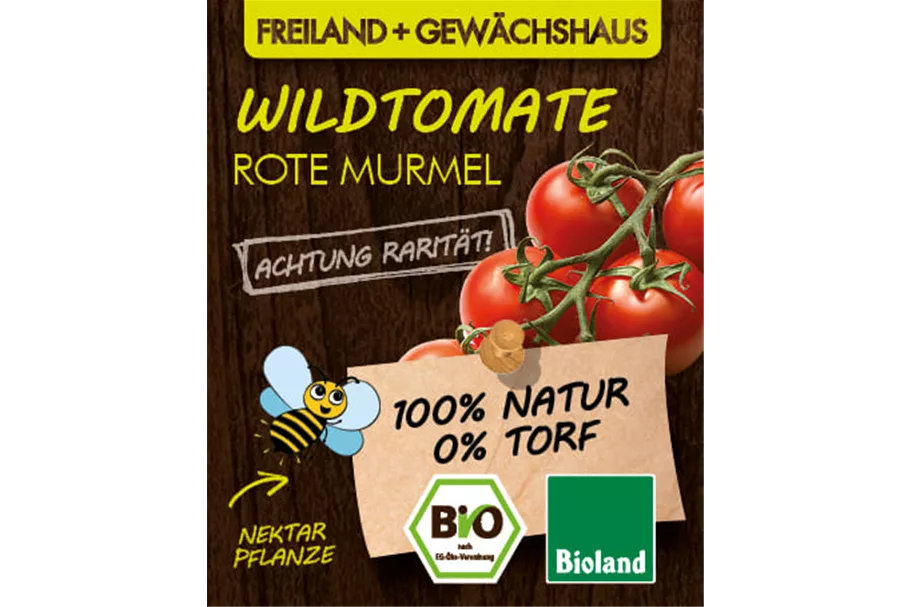 Bio Wildtomate Rote Murmel 12 cm Topf