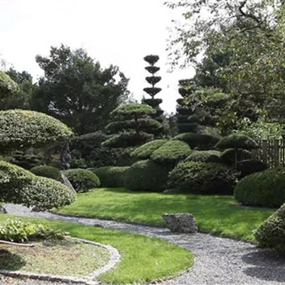 Gartengestaltung 15 - Japangarten