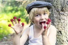 Himbeere 'Lucky Berry'® Topfgröße 4,6 Liter / Höhe 40-50cm