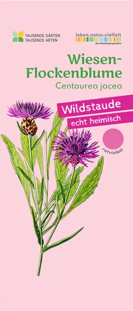 Echt heimische Stauden Olerum