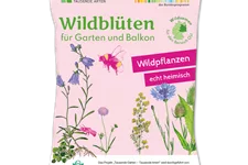 Wildblüten für Garten und Balkon 2 m² OST 4 g für 2 m² Region OST