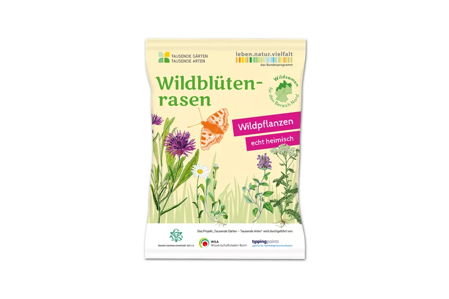 Wildblüten-Rasen - 10 m² 30g - Region Nord