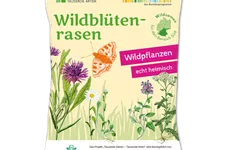 Wildblüten-Rasen - 10 m² SÜD 30 g für 10 m² Region SÜD