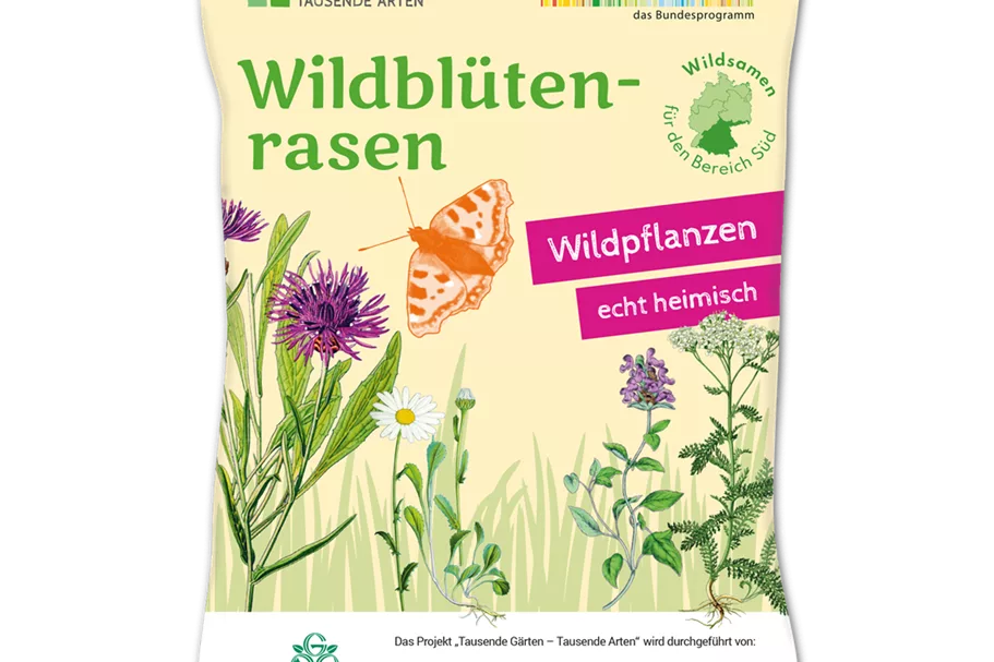 Wildblüten-Rasen - 10 m² SÜD 30 g für 10 m² Region SÜD