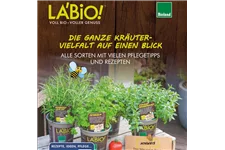 Das Original LÀBiO! Kräuterbuch 2024 Ratgeber 2024