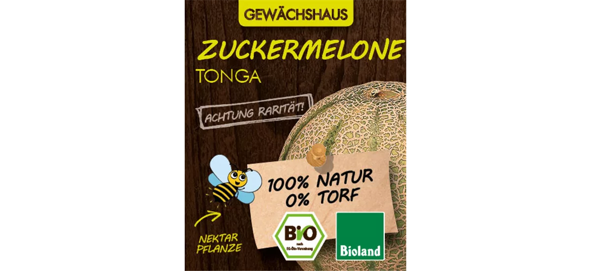 Bio Zuckermelone 'Tonga' 12 cm Topf
