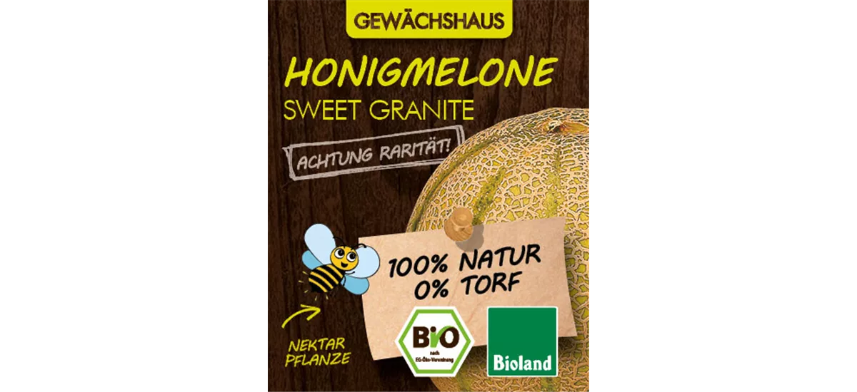 Bio Honigmelone 'Sweet Granite' 12 cm Topf