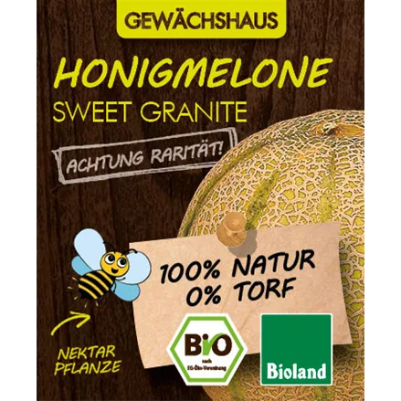 Bio Honigmelone 'Sweet Granite'
