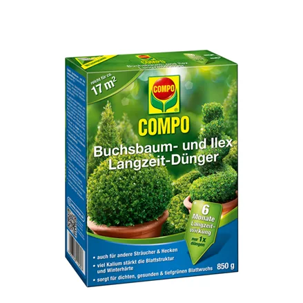 Compo Buchsbaum- und Ilex Langzeit-Dünger 