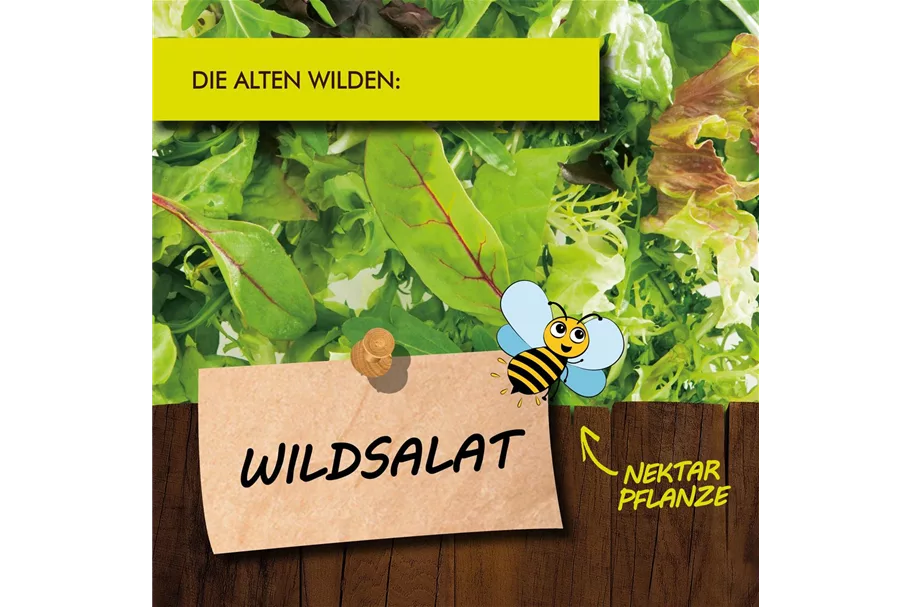 Bio Wildsalat Kräutertopf 12 cm Wildsalat