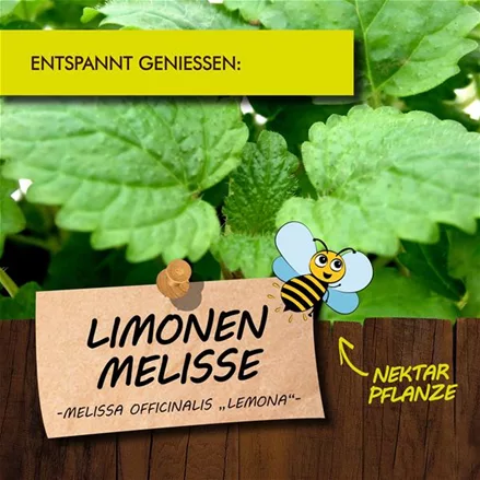 Bio Limonen-Melisse