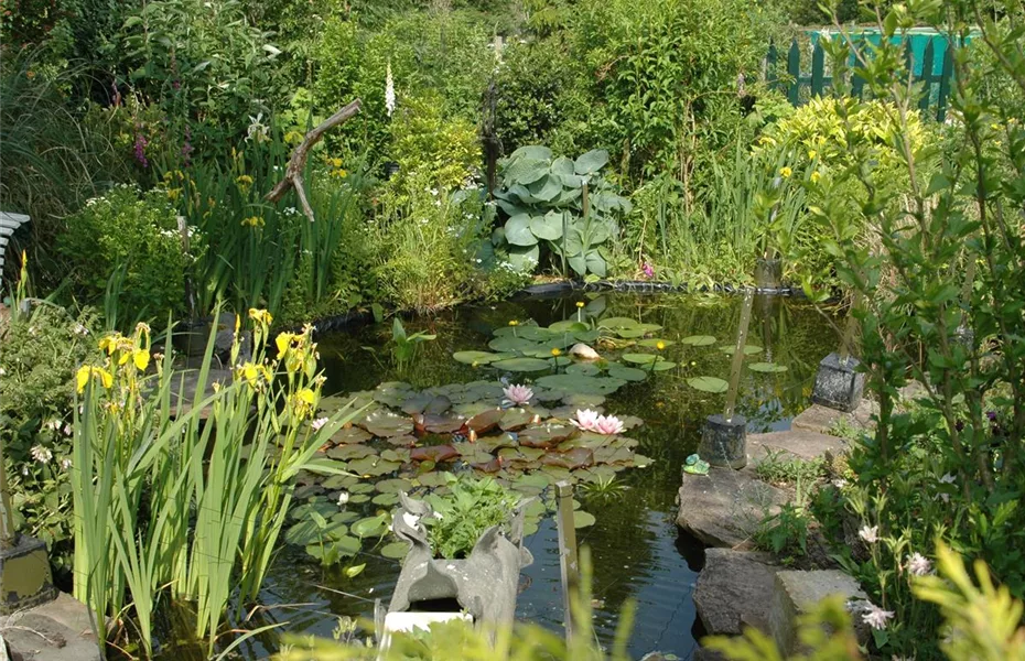 Easy Oase Gartenteich anlegen leicht gemacht Olerum