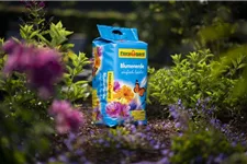 Floragard Blumenerde leicht 1 Sack x 25 Liter