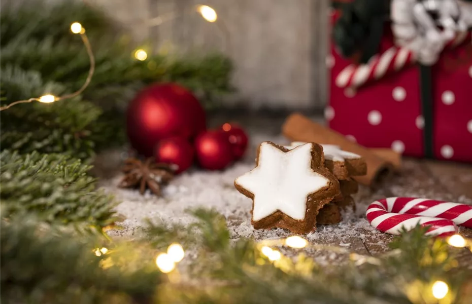 Der Advent – Schöne Ideen zu Weihnachten