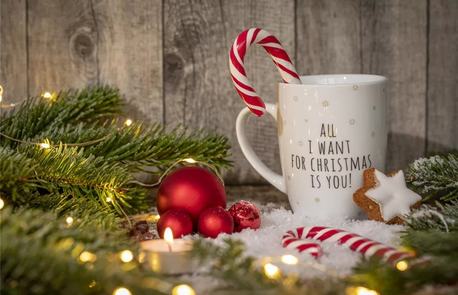 Der Advent – Schöne Ideen zu Weihnachten