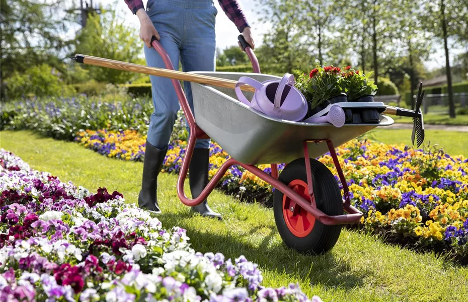 Gute Gartengeräte erleichtern die Gartenarbeit