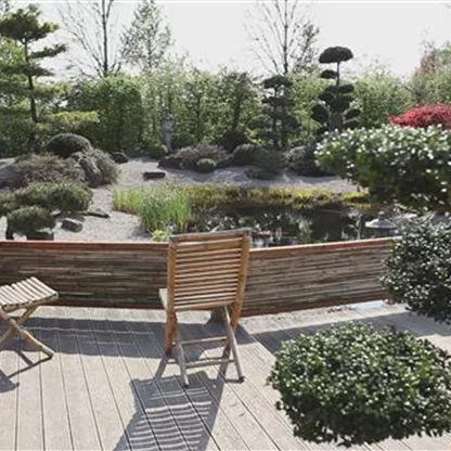 Gartengestaltung 18 - Koi Zen Garten