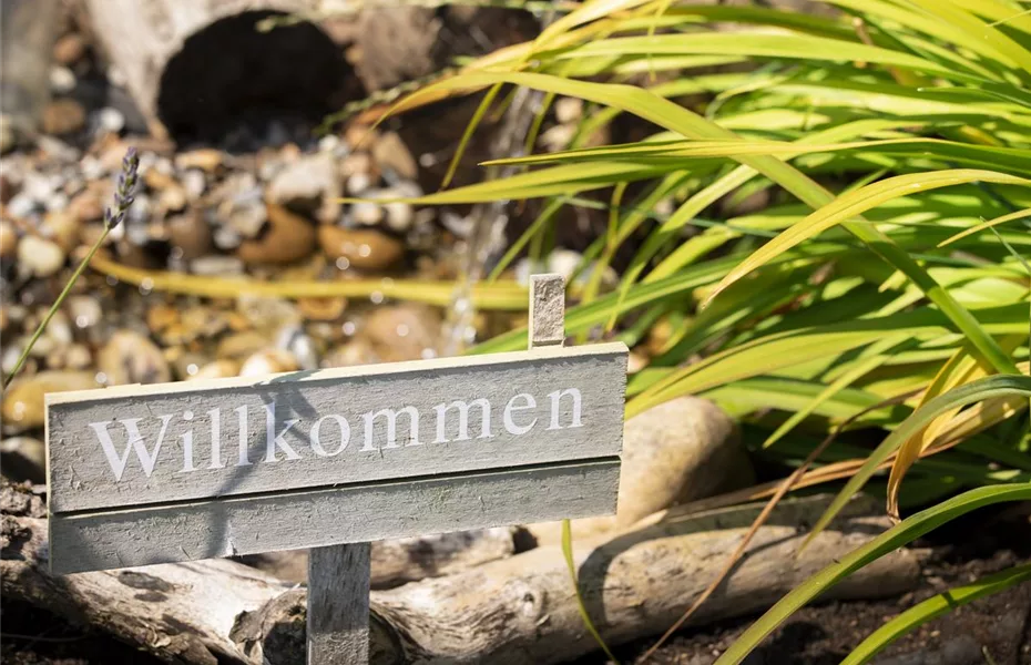 Easy Oase Gartenteich anlegen leicht gemacht Olerum