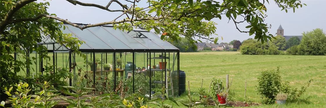 Glasgewächshäuser sind perfekt für den Gemüseanbau