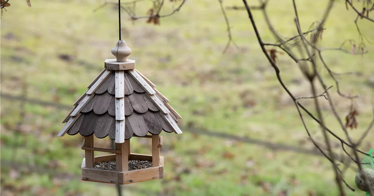 Vogelhäuser Futterstelle für Amsel & Co. Olerum