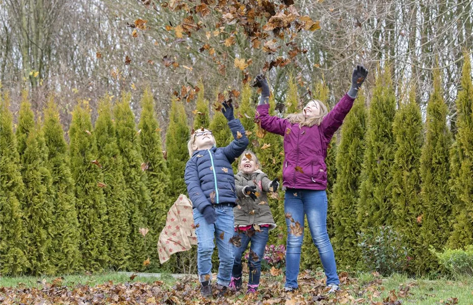 Laub im Garten stört nicht, sondern ist praktisch