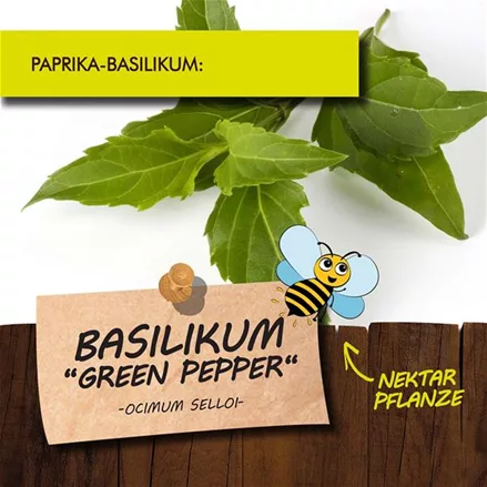Bio Basilikum 'Green Pepper'