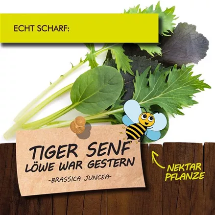 Bio Tiger-Senf
