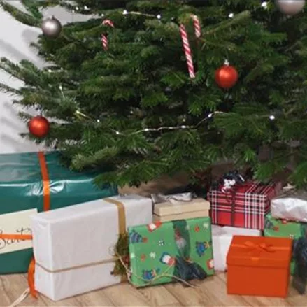 Den Weihnachtsbaum festlich dekorieren