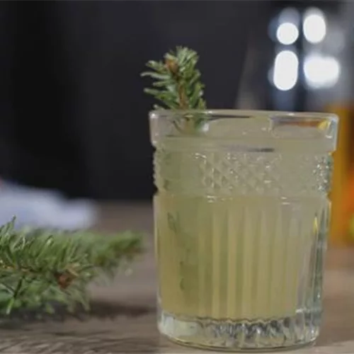 Weihnachten: Ein Cocktail mit Tannennadeln