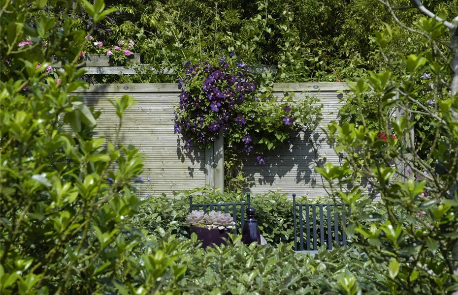 Grenzen auf stilvolle Art – Sichtschutz im Garten