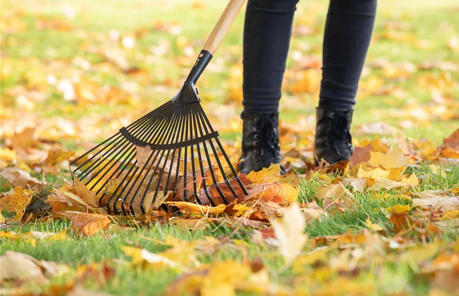 Rasenpflege im Herbst – Kur zwischen Dürre&Frost