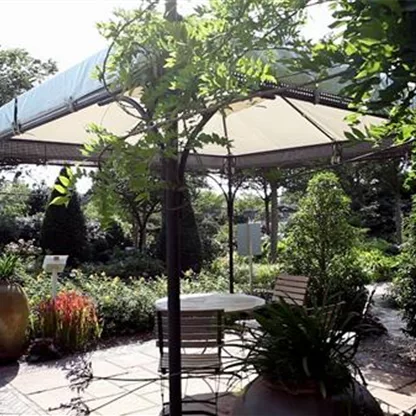 Gartengestaltung 2 - Mediterraner Garten